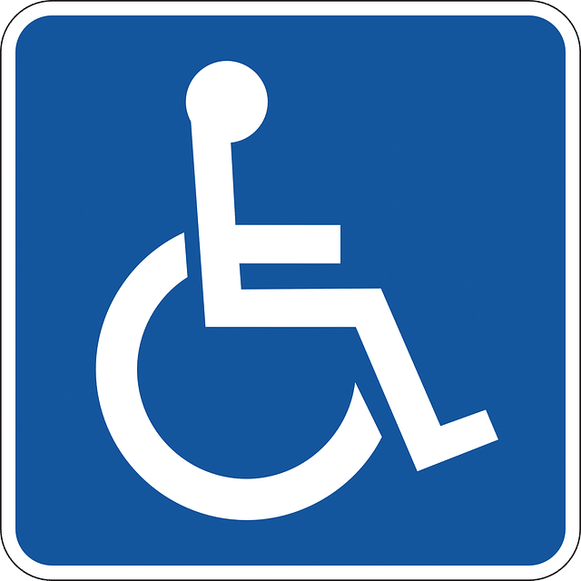 monte charge handicapé
